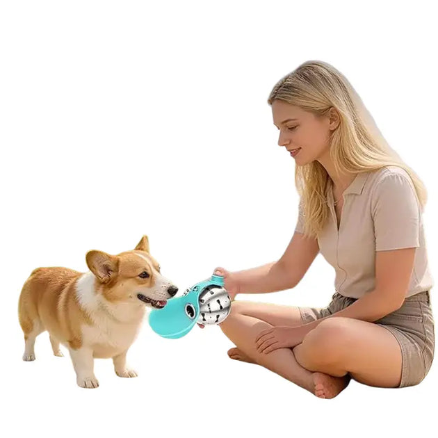 Bouteille d’eau portable en inox turquoise avec motif papillon - Bouteille d’eaux portable pour chien