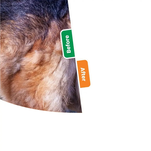 Brosse de toilettage 3 en 1 pour chiens et chats avec dents en métal - Brosse pour chien