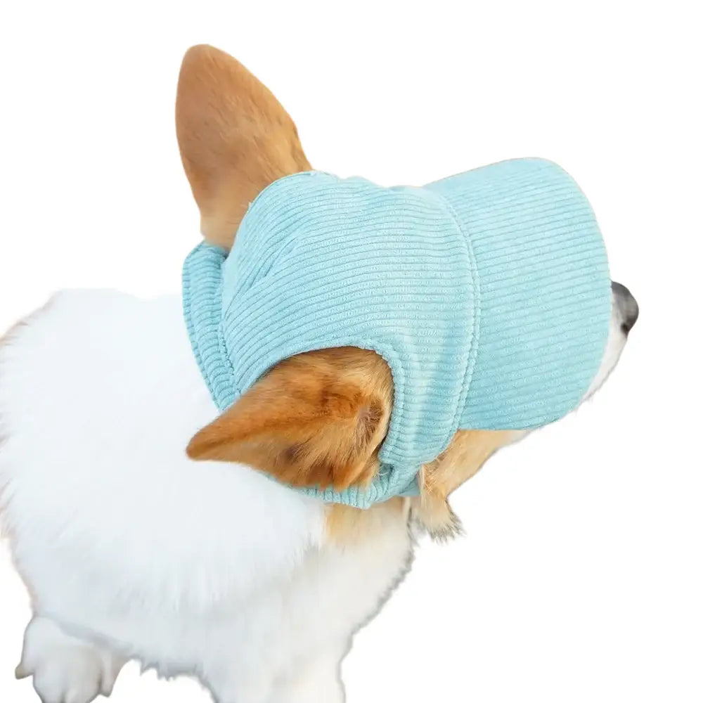 Casquette de baseball pour grand chien en velours côtelé - Casquette pour chien