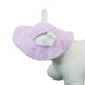 Casquette de baseball pour grand chien en velours côtelé - Violet / XS-conseil 2-5kg - Casquette pour chien