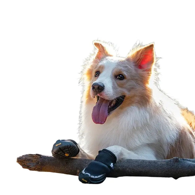Chaussures de randonnée pour chien Truelove Vibram - Chaussure pour animaux de compagnie
