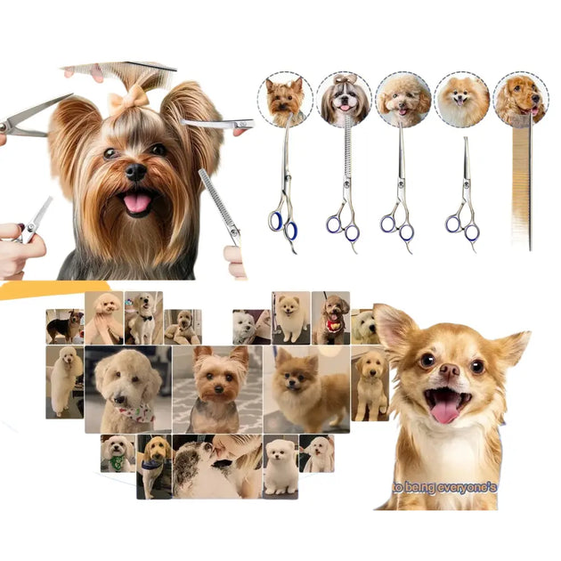 Ciseaux de toilettage pour animaux 6 en 1 en acier - Titre par Défauts - Ciseaux pour animaux de compagnie