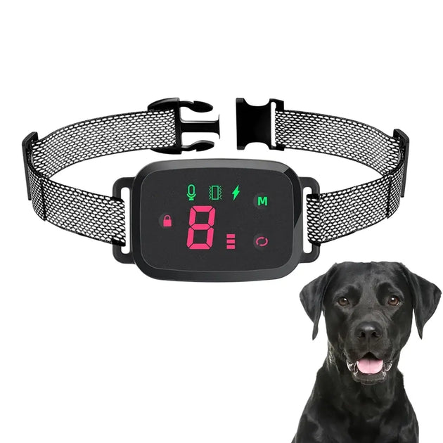 Collier Anti-Aboiement Intelligent Étanche Rechargeable - Collier anti-aboiement pour chien