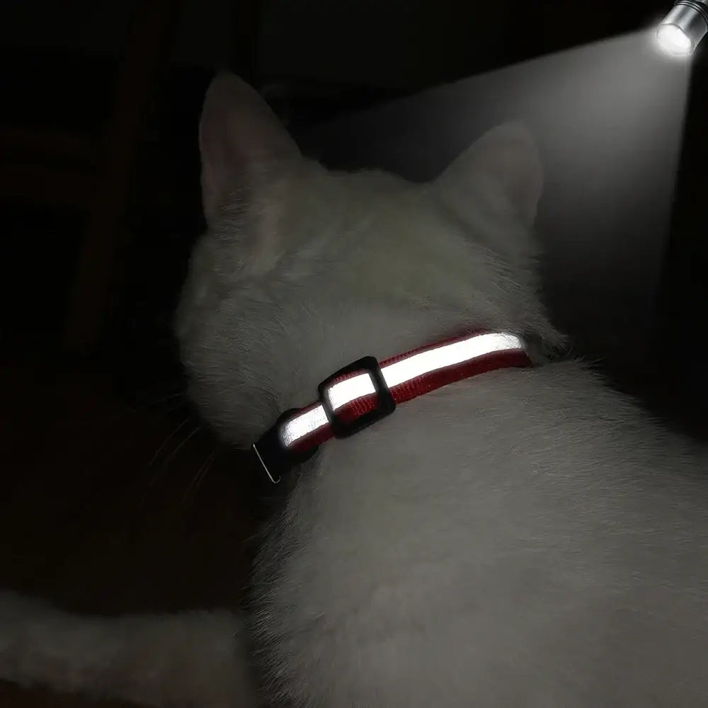 Collier chat réfléchissant rouge avec plaque gravée personnalisable - Collier pour chat