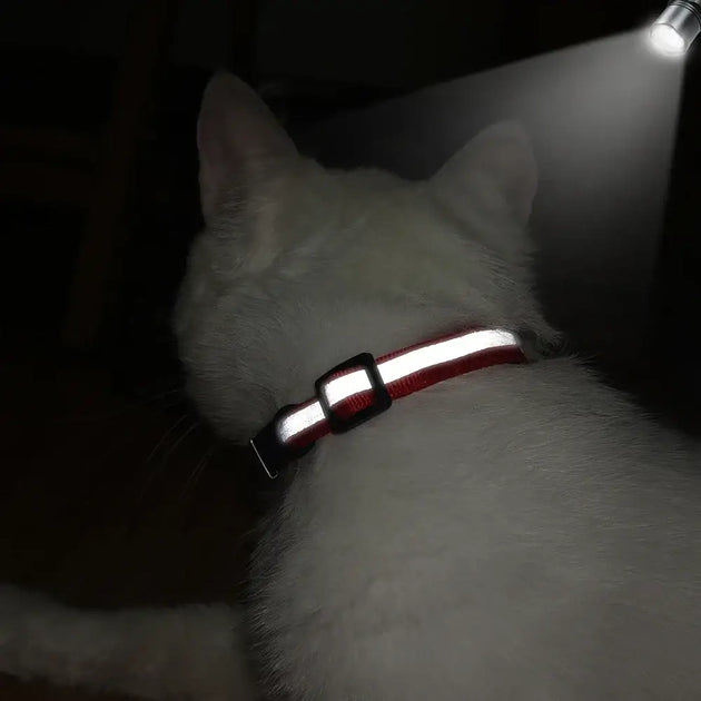 Collier chat réfléchissant rouge avec plaque gravée personnalisable - Collier pour chat