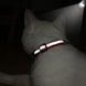 Collier chat réfléchissant rouge avec plaque gravée personnalisable - Collier pour chat