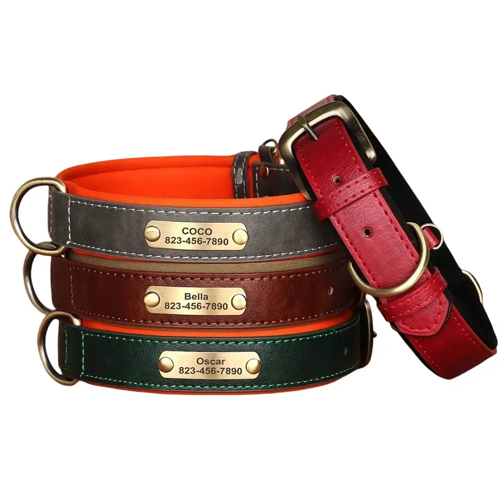 Collier chien avec plaque identité cuir golden retriever - Collier pour chien
