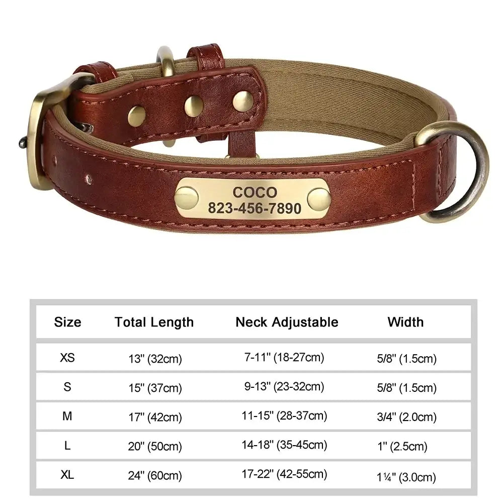 Collier chien avec plaque identité cuir golden retriever - Brun / XS（Ancien) - Collier pour chien