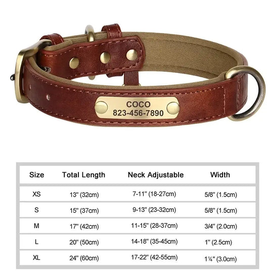 Collier chien avec plaque identité cuir golden retriever - Brun / XS（Ancien) - Collier pour chien