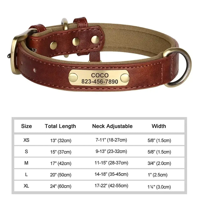 Collier chien avec plaque identité cuir golden retriever - Brun / XS（Ancien) - Collier pour chien
