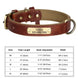 Collier chien avec plaque identité cuir golden retriever - Brun / XS（Ancien) - Collier pour chien