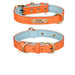 Collier chien avec plaque identité cuir golden retriever - Orange / S - Collier pour chien