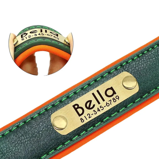 Collier chien avec plaque identité cuir golden retriever - Collier pour chien