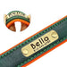 Collier chien avec plaque identité cuir golden retriever - Collier pour chien