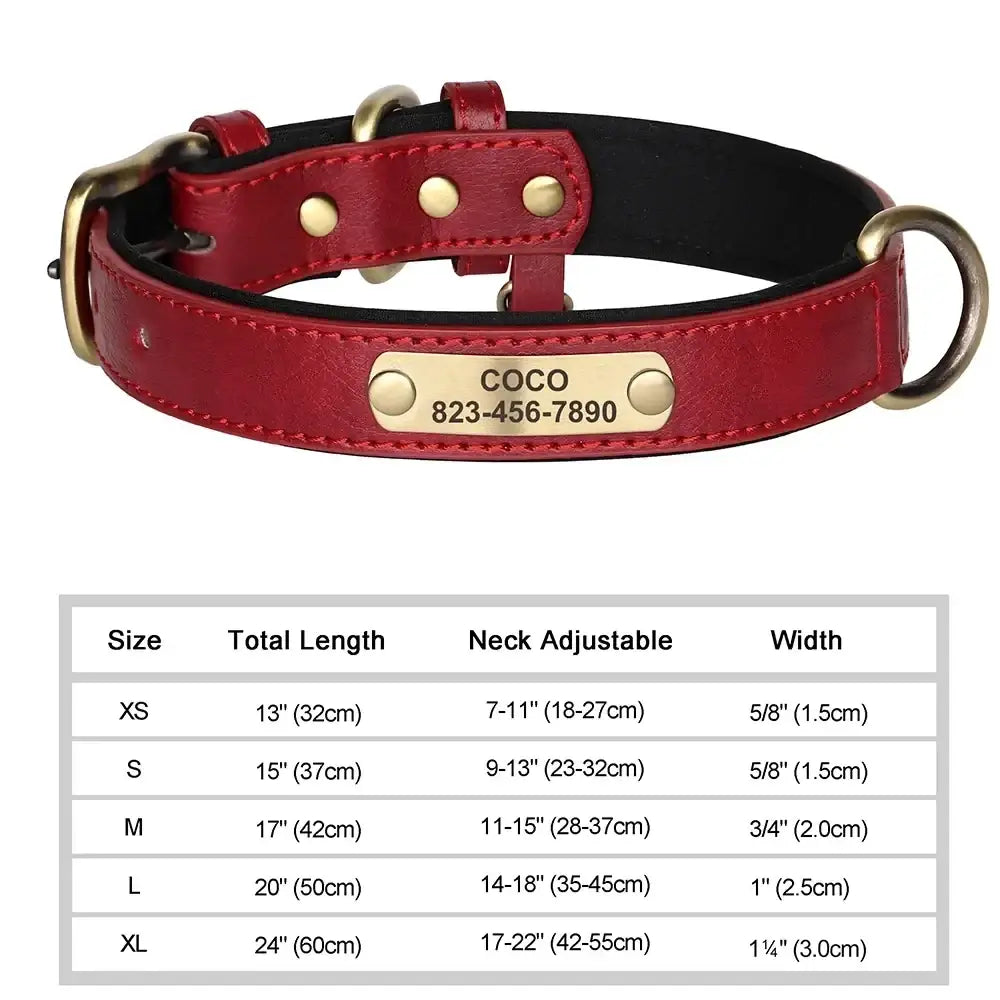 Collier chien avec plaque identité cuir golden retriever - Rouge / M - Collier pour chien