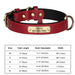 Collier chien avec plaque identité cuir golden retriever - Rouge / M - Collier pour chien