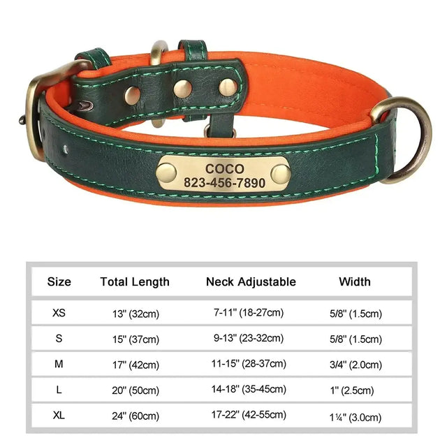 Collier chien avec plaque identité cuir golden retriever - Vert / XL - Collier pour chien