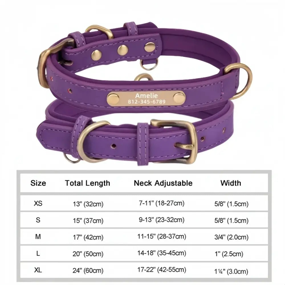 Collier chien avec plaque identité cuir golden retriever - Violet / S - Collier pour chien