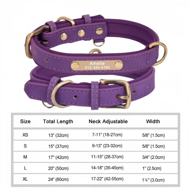 Collier chien avec plaque identité cuir golden retriever - Violet / S - Collier pour chien