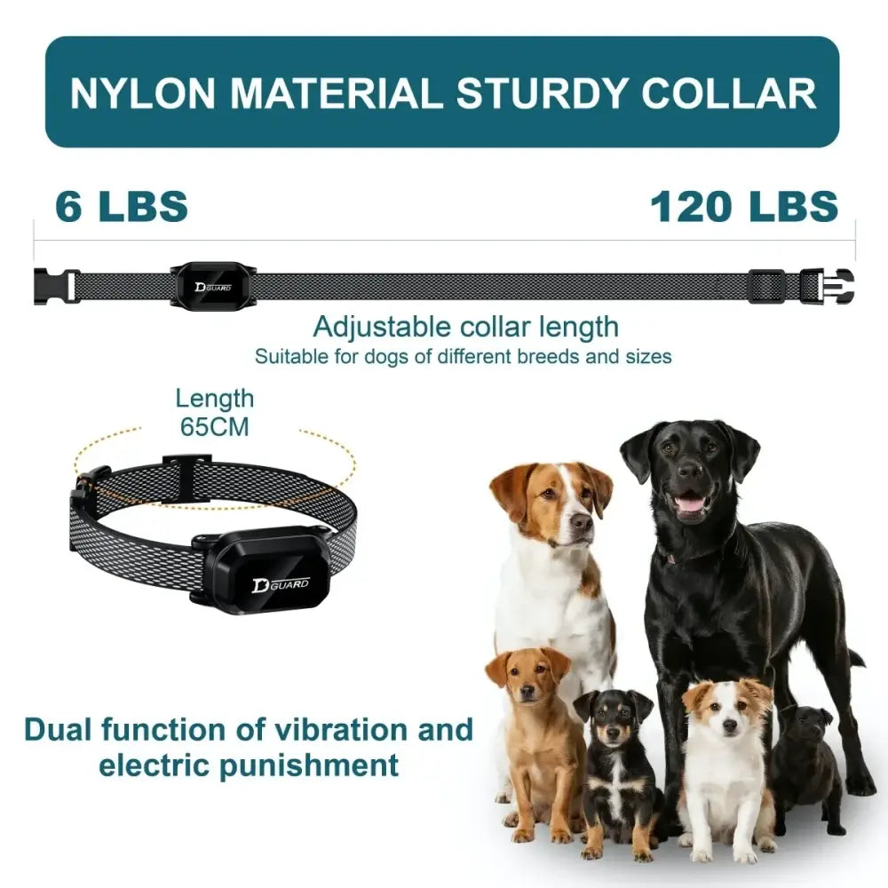Collier dressage chien numérique étanche 800m – Télécommande LCD - Collier de dressage pour animaux de compagnie