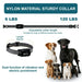 Collier dressage chien numérique étanche 800m – Télécommande LCD - Collier de dressage pour animaux de compagnie