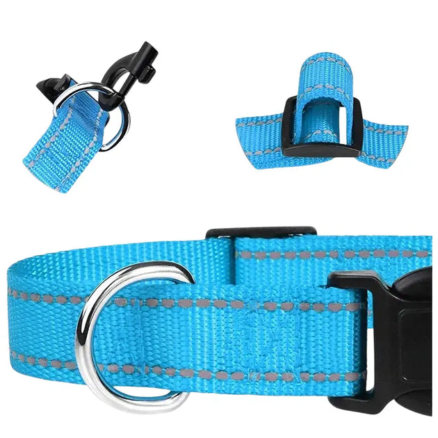 Collier pour chien turquoise réfléchissant - Collier pour chien