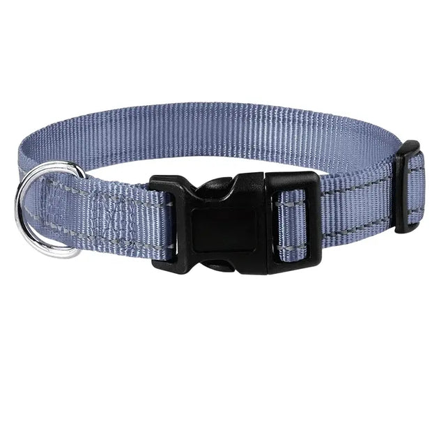 Collier pour chien turquoise réfléchissant - Gris / XS(20-30cm) - Collier pour chien