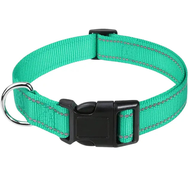 Collier pour chien turquoise réfléchissant - Lac Bleu / XS(20-30cm) - Collier pour chien