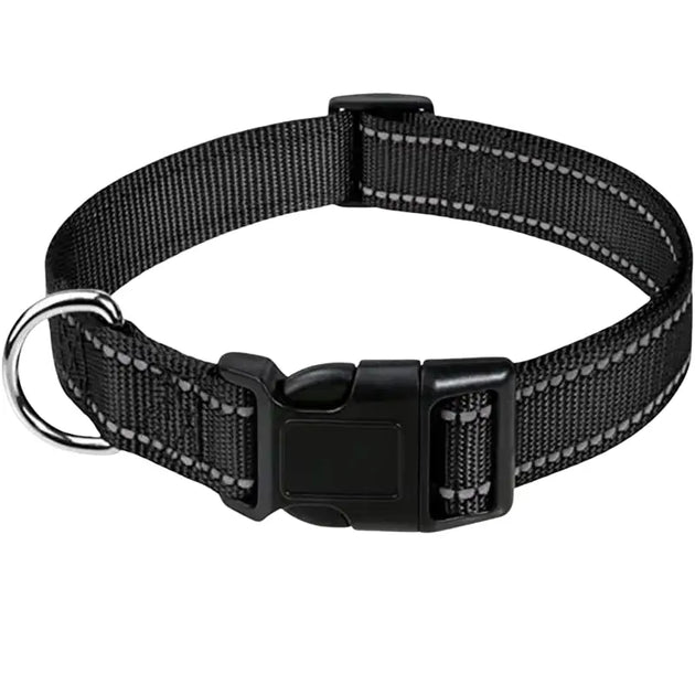 Collier pour chien turquoise réfléchissant - Noir / S(30-40cm) - Collier pour chien