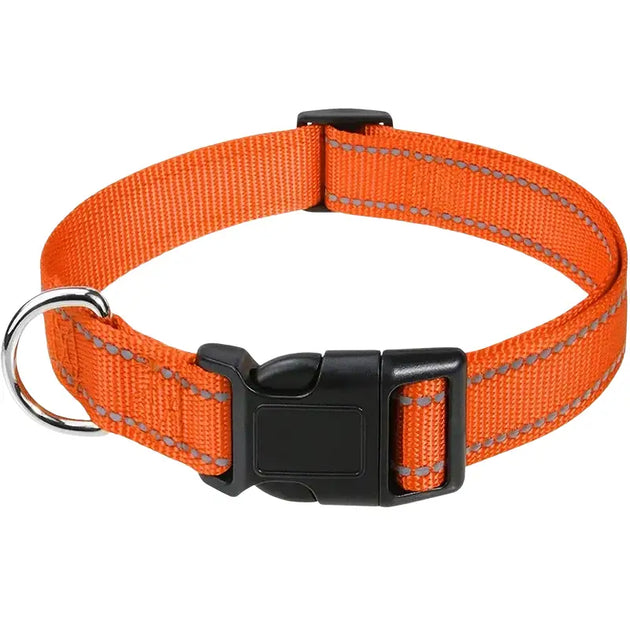 Collier pour chien turquoise réfléchissant - Orange / S(30-40cm) - Collier pour chien