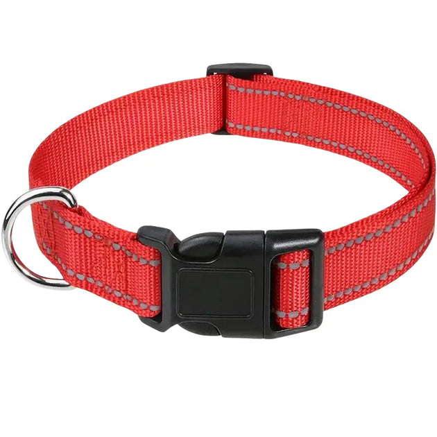 Collier pour chien turquoise réfléchissant - Rouge / S(30-40cm) - Collier pour chien
