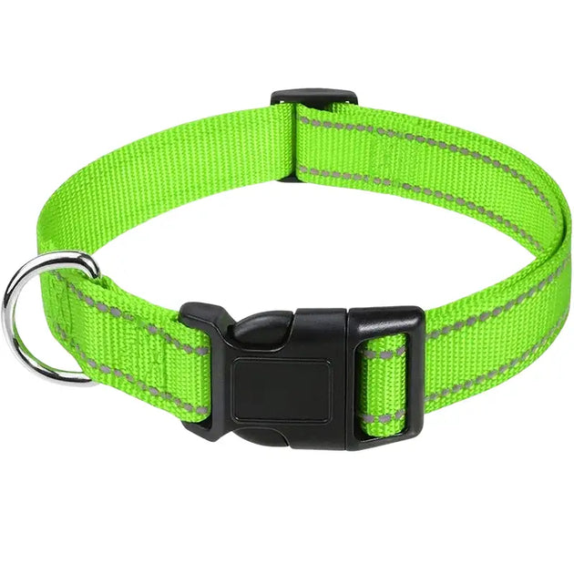 Collier pour chien turquoise réfléchissant - Vert / XS(20-30cm) - Collier pour chien