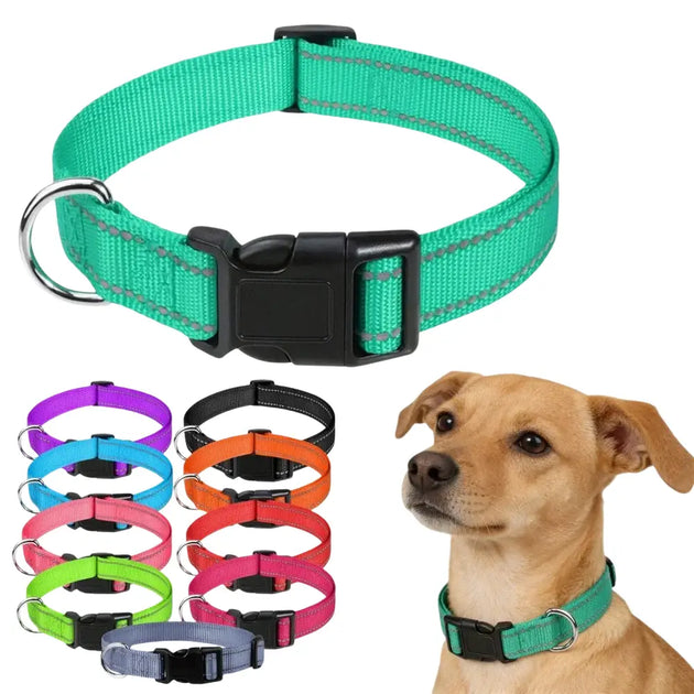 Collier pour chien turquoise réfléchissant - Collier pour chien