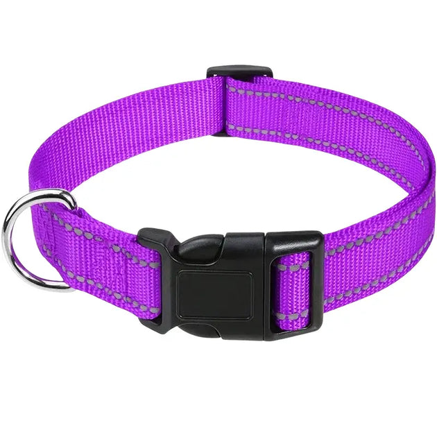 Collier pour chien turquoise réfléchissant - Violet / S(30-40cm) - Collier pour chien