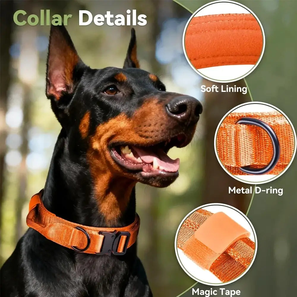 Collier tactique orange pour chien avec poignée et boucle robuste - Collier tactique pour chien