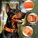 Collier tactique orange pour chien avec poignée et boucle robuste - Collier tactique pour chien