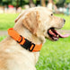 Collier tactique orange pour chien avec poignée et boucle robuste - Collier tactique pour chien