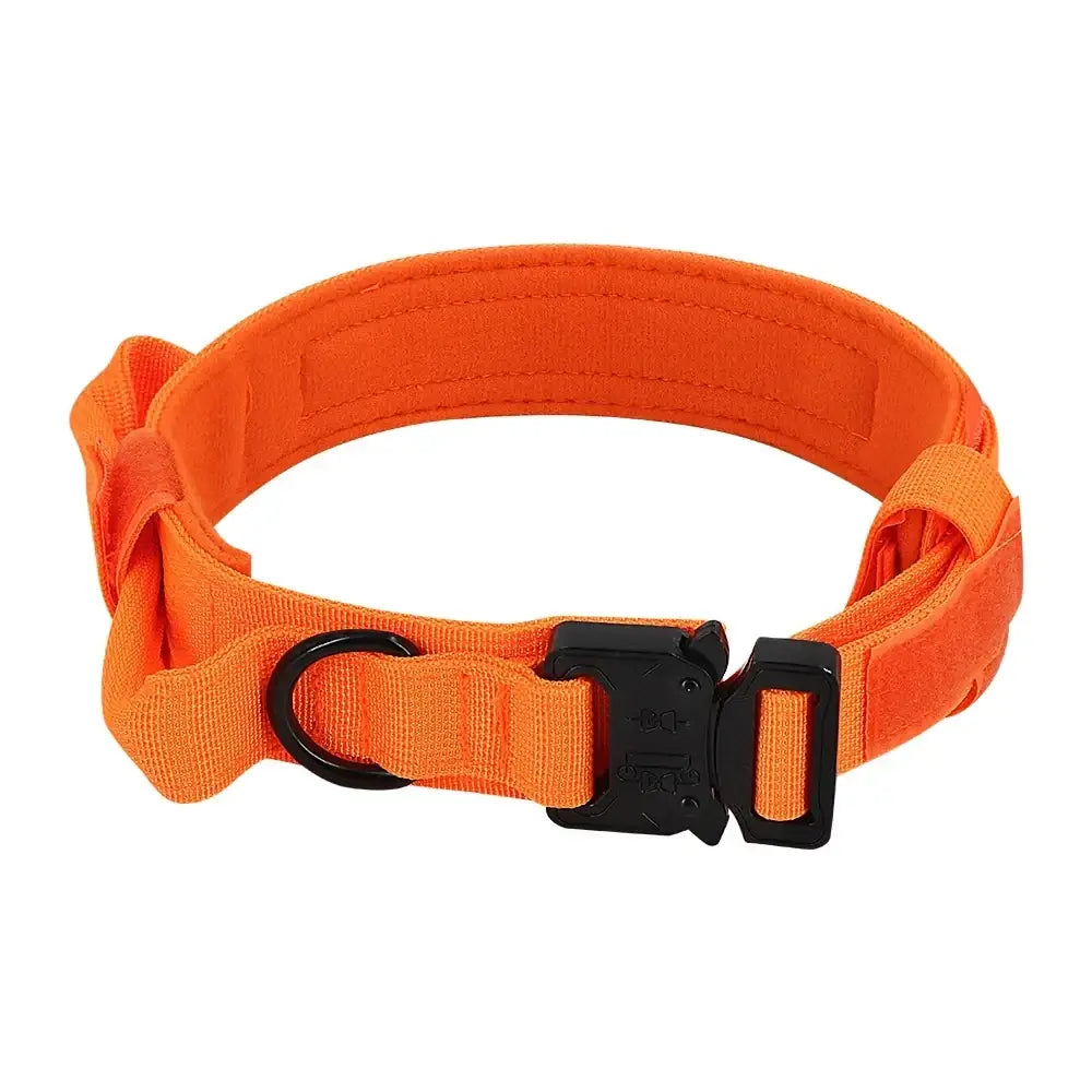 Collier tactique orange pour chien avec poignée et boucle robuste - Orange / M - Collier tactique pour chien
