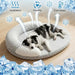 Cooling Dog Bed Summer Ice Silk Cat Mat Oval Pet Nest Breathable Heat Dissipation Cooling Pad for Small Medium Large