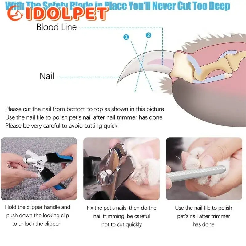 Coupe-ongles professionnel en acier inoxydable avec garde de sécurité - Coupe ongle pour animaux