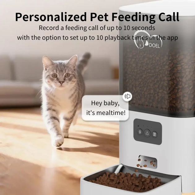 Distributeur de croquettes et fontaine à eau pour chat - Mangeoire pour chien