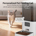 Distributeur de croquettes et fontaine à eau pour chat - Mangeoire pour chien