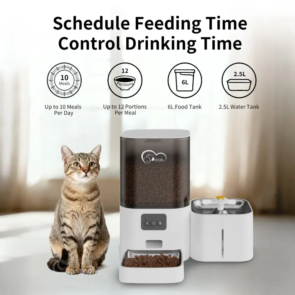 Distributeur de croquettes et fontaine à eau pour chat - Mangeoire pour chien