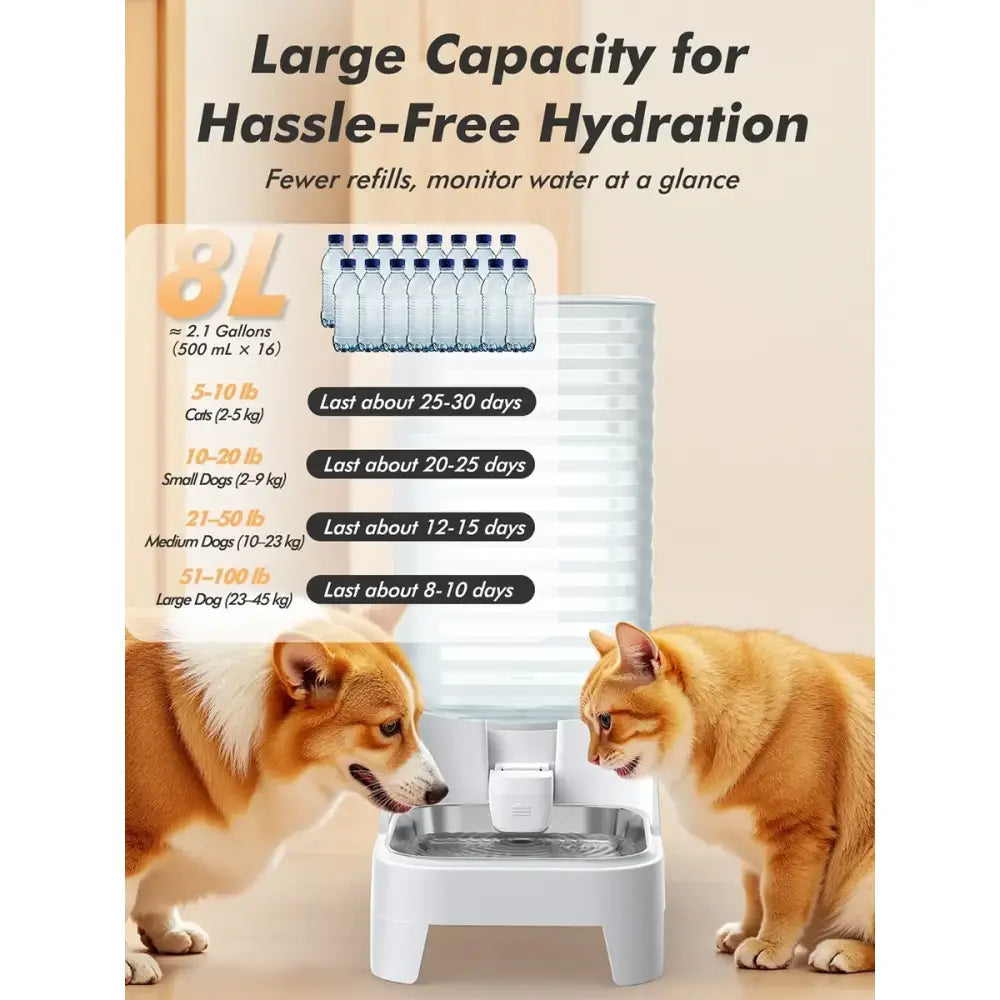 Distributeur grande capacité 8l en acier inoxydable - Bol à eau 8 Litre - Mangeoire pour animaux de compagnie
