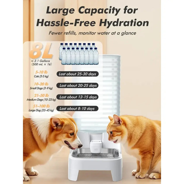 Distributeur grande capacité 8l en acier inoxydable - Bol à eau 8 Litre - Mangeoire pour animaux de compagnie