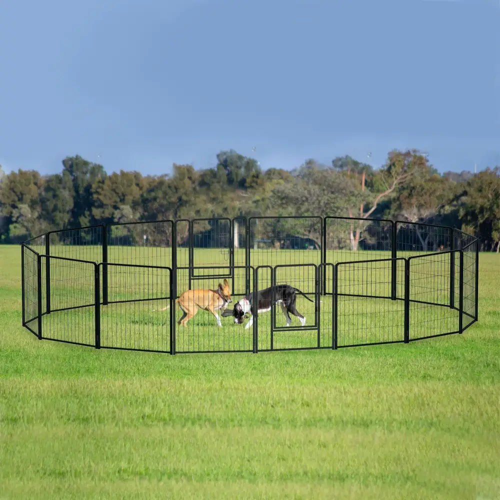 Enclos dressage chien pliable métal avec porte – Noir - Parc pour chien