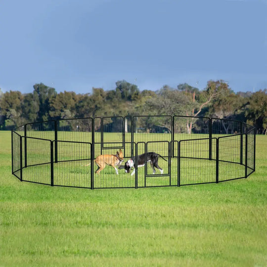 Enclos dressage chien pliable métal avec porte – Noir - Parc pour chien