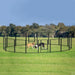 Enclos dressage chien pliable métal avec porte – Noir - Parc pour chien