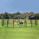 Enclos dressage chien pliable métal avec porte – Noir - Parc pour chien