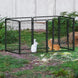 Enclos dressage chien pliable métal avec porte – Noir - Parc pour chien
